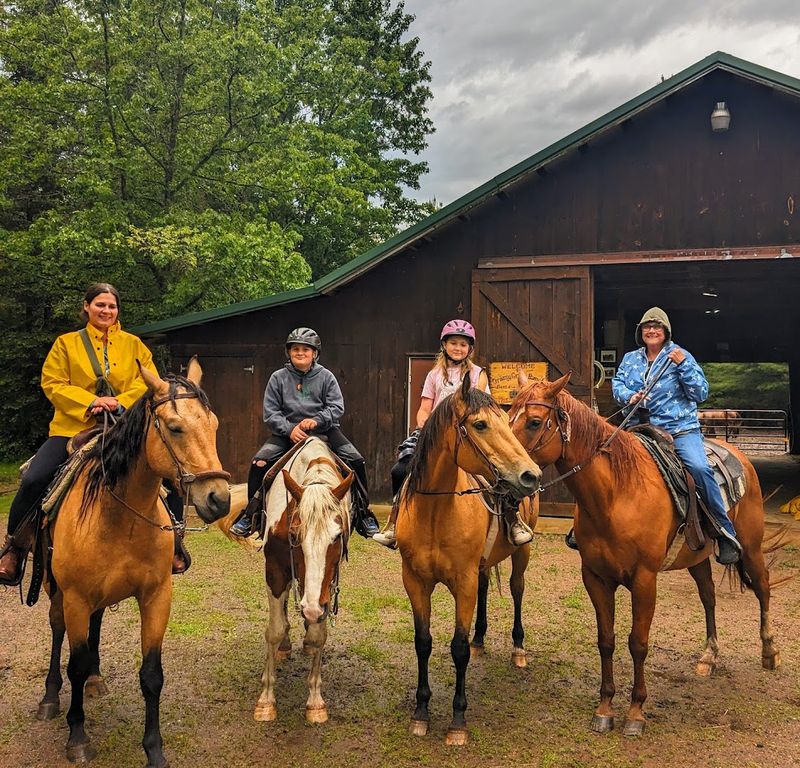 Beginner Riders Get Matched With Horses Based On Ability