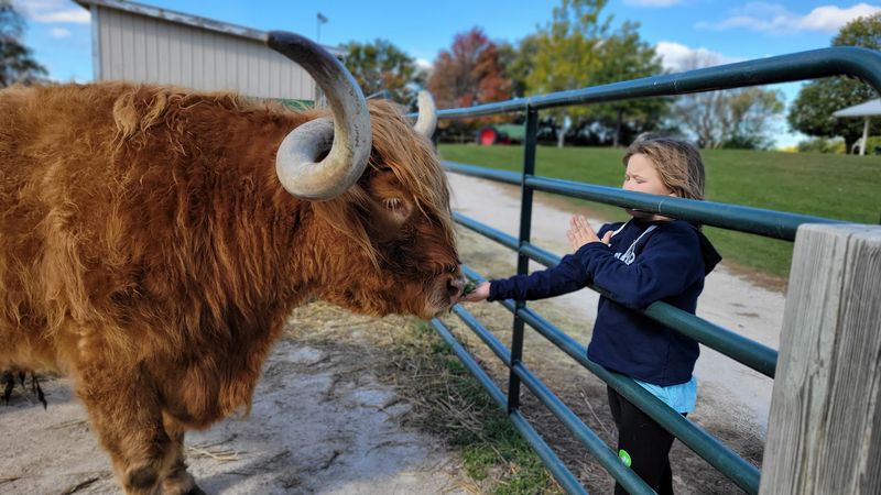 East Troy Gives It That Easy Wisconsin Day Trip Feel