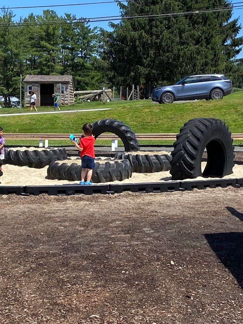 Kids Rule At The Hayloft Playscape And Animal Yard