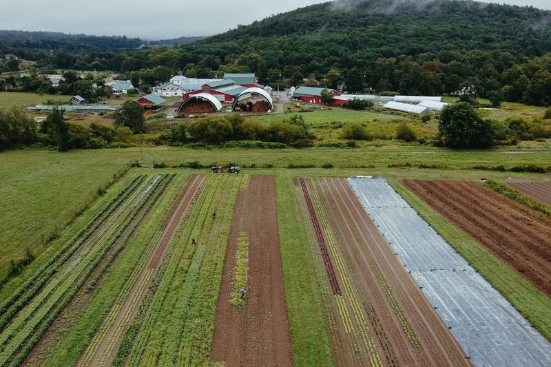 Hawthorne Valley Farm: Where The Revolution Actually Lives
