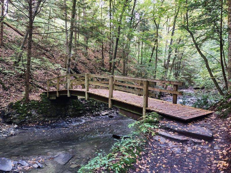 Bridges, Shade, And The Sound Of Moving Water