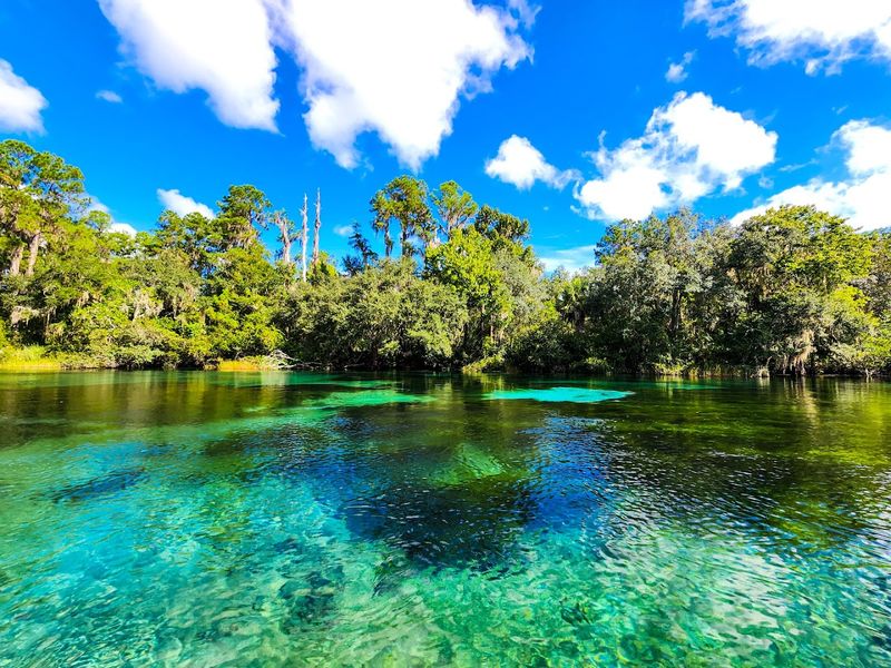 Water Clarity And Unique