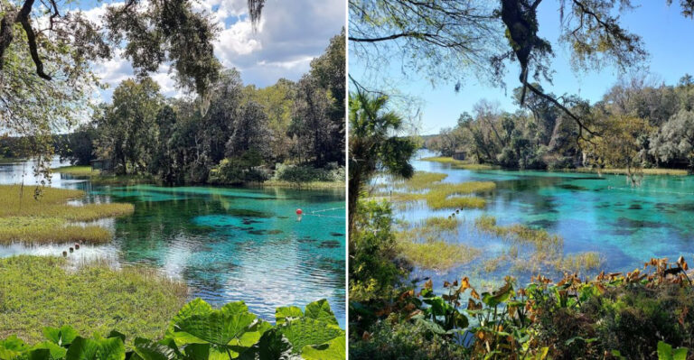 The Florida Swimming Paradise With Crystal Clear Waters Perfect For Summer Adventures
