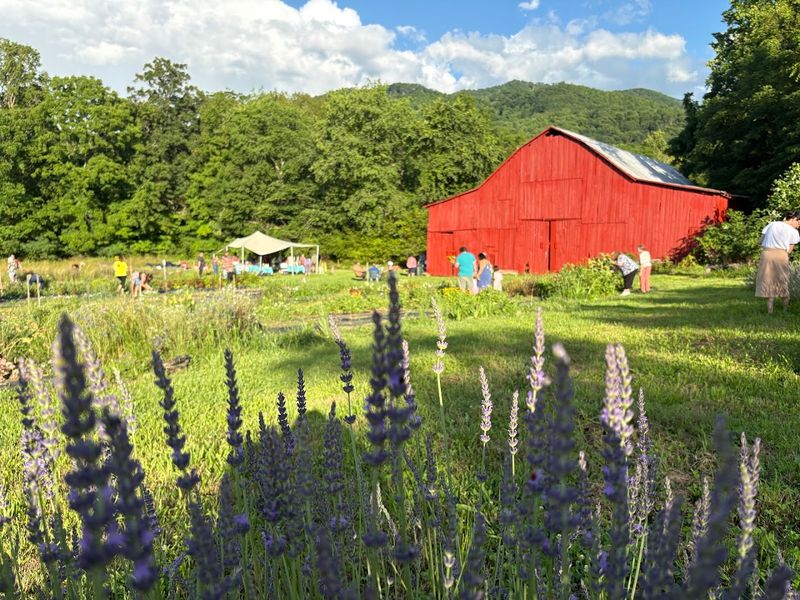 Workshops And Events That Go Beyond Just Picking Flowers