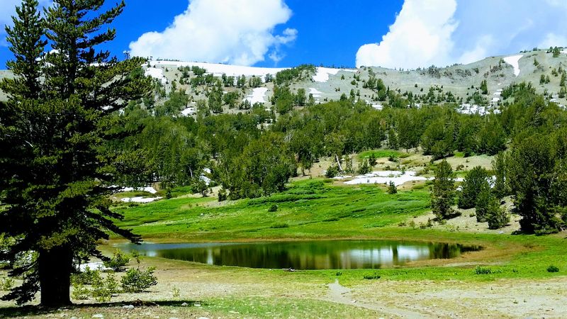 Seven Ranger Districts Manage Its Vast Landscape