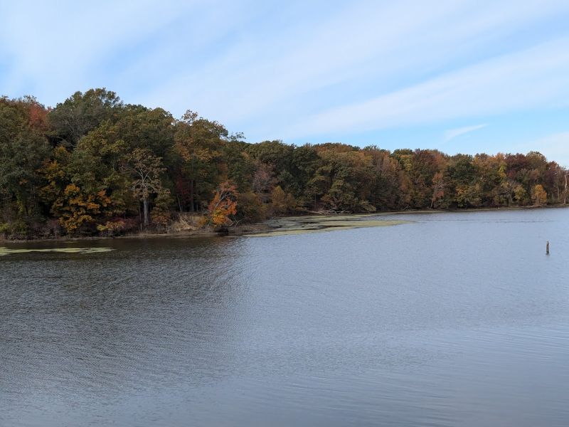 The Birdwatcher's Trail