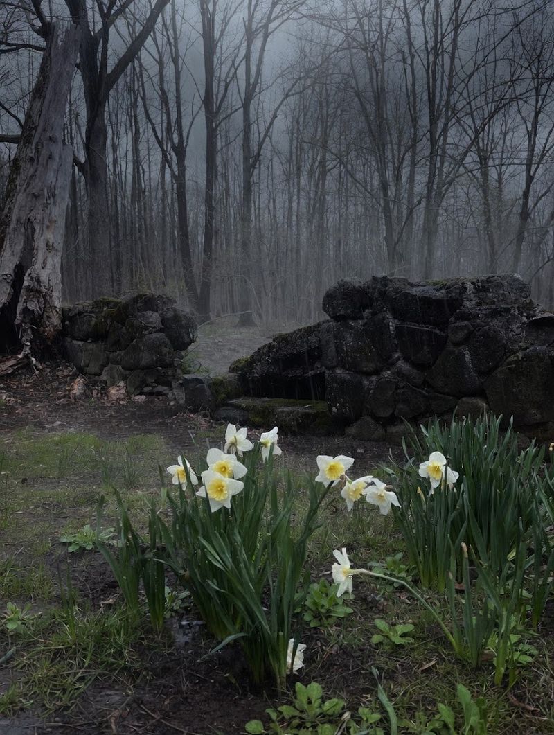 Ghost Stories And Local Legends On The Hill