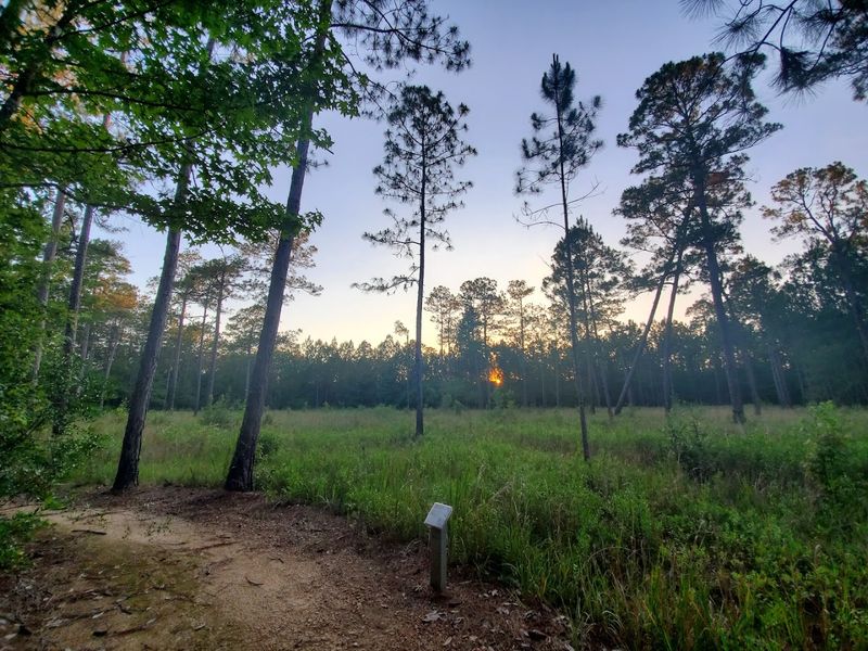 Why This Place Deserves A Spot On Your List