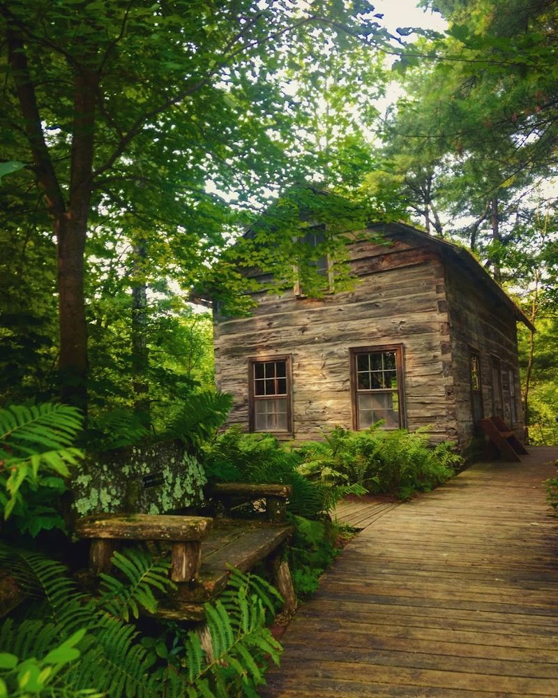 The Log Cabin Adds Real History To The Park