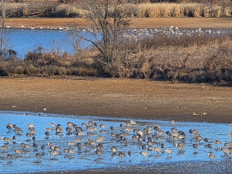 The Hiwassee Wildlife Refuge