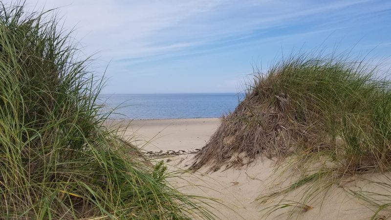 What Makes This Beach So Remarkably Quiet