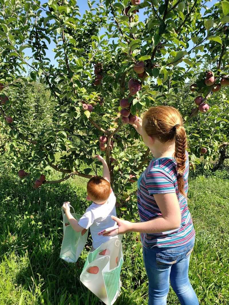 Beyond Blueberries, The PYO Calendar Keeps Going All Season