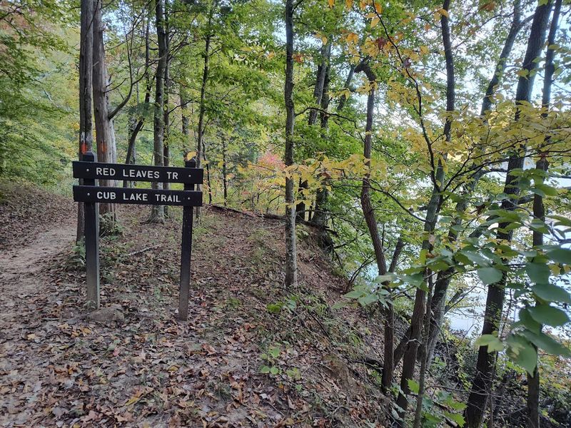 Over 250 Miles Of Trails For Hikers And Riders