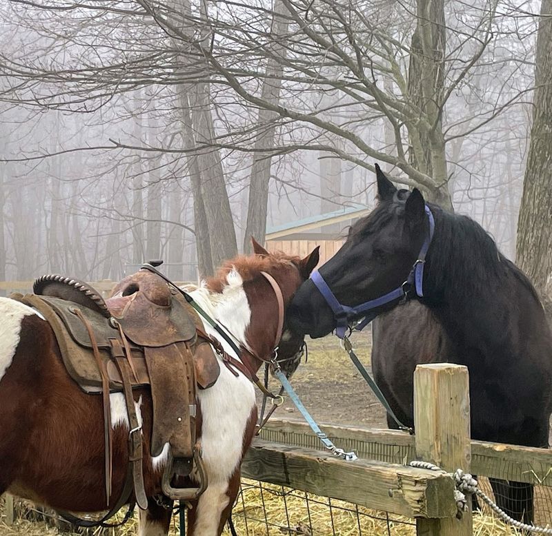 Why This Ranch Leaves Visitors Planning Their Return Visit