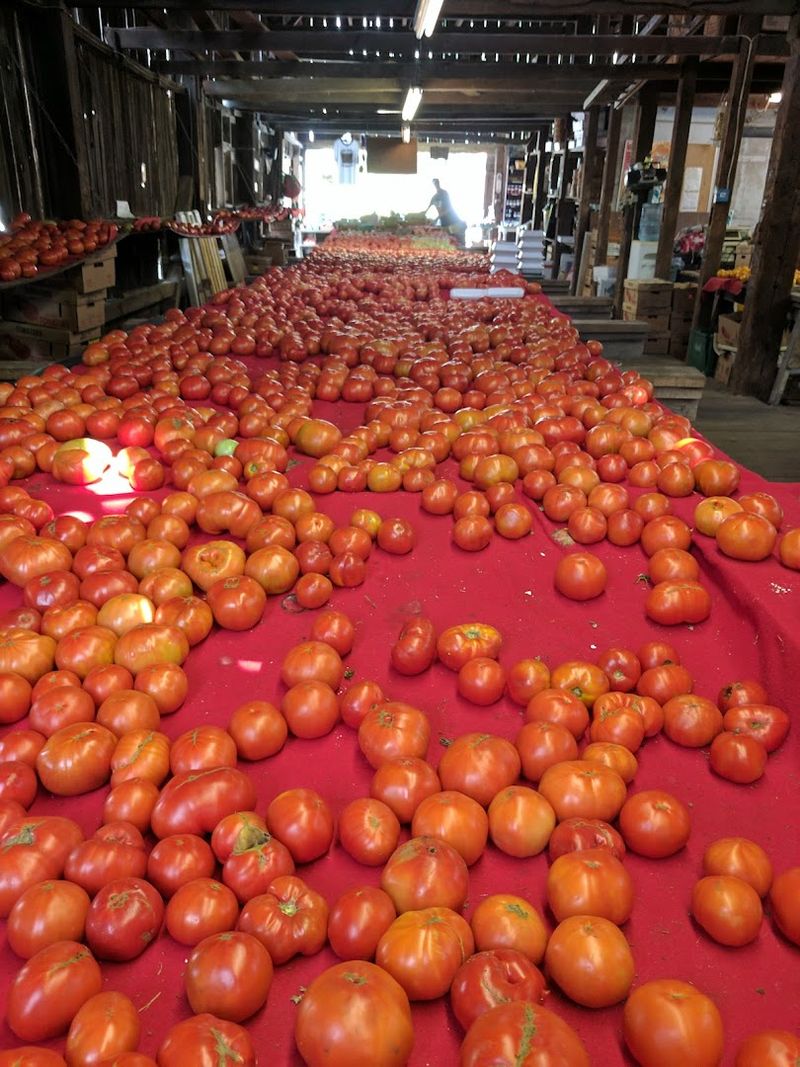 A Family Farm That Keeps Growing Strong