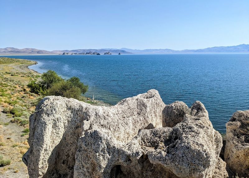 The Ancient Cui-ui Fish Lives Only In Pyramid Lake