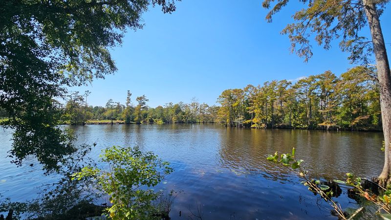 Bird Watching That Rivals Dedicated Sanctuaries