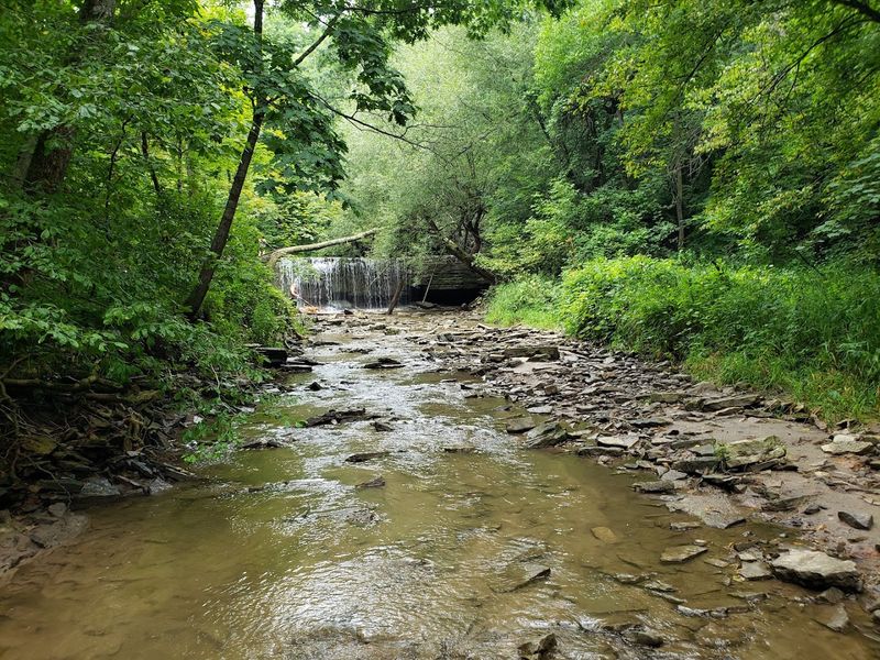 Prairie Creek And The River That Moves On Its Own Schedule