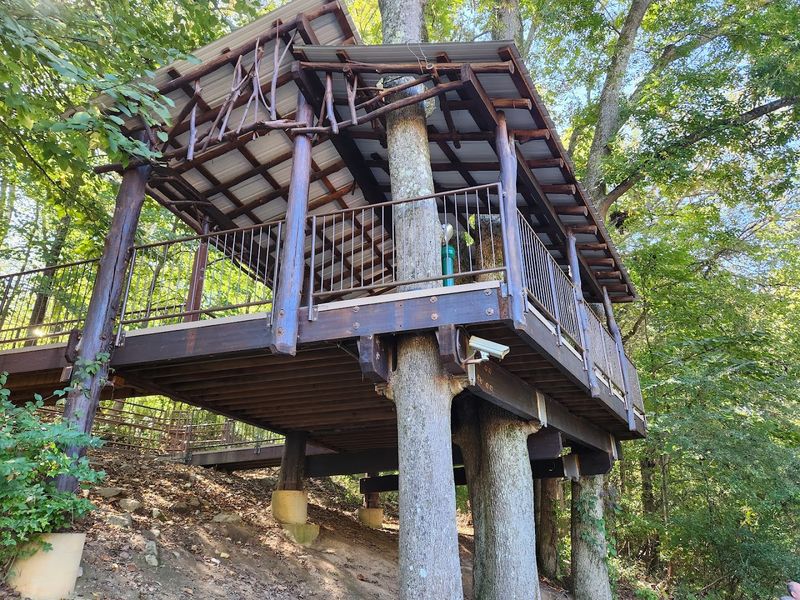 The Anderson Tree House Gives Kids A Commanding View Of Everything