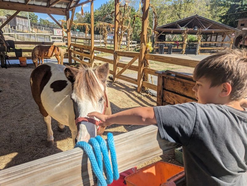A Rescue Mission That Started With One Family's Big Heart