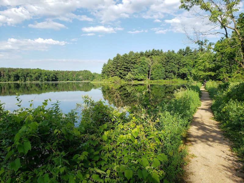 Allen Lake Is One Of The Park's Prettiest Corners