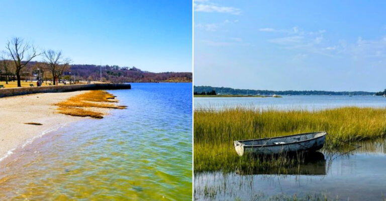 The Long Island Beach Where New York Locals Dig Their Own Clams At Low Tide And Take Home Dinner For Free