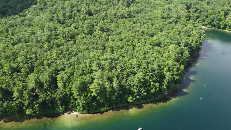 Locals And Conservationists Are Fighting Hard To Keep Development Away