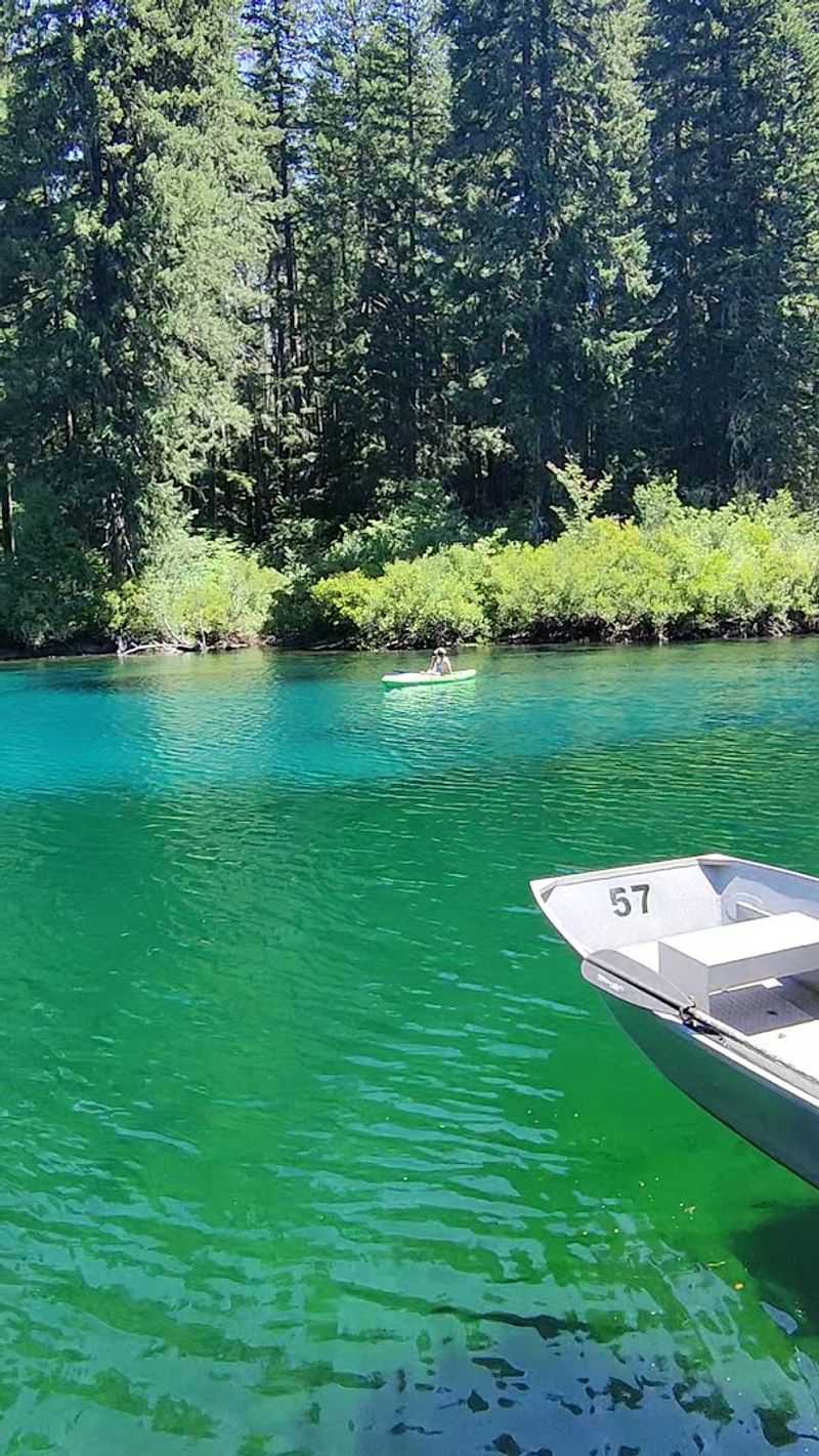 Fishing In Water You Can Actually See Through