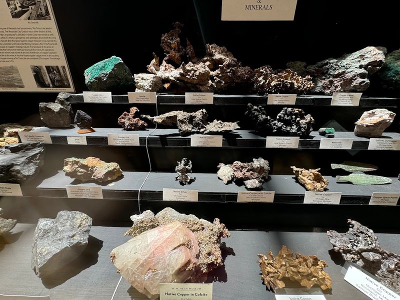 Fossils Give The Museum More Than Just A Mining Angle