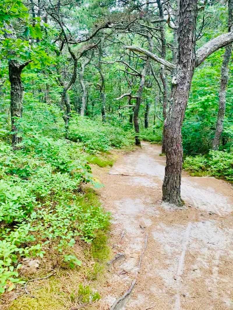 Hiking Trails That Reveal A Completely Different Side Of The Landscape