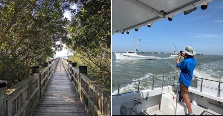 The Maryland Coastal Island That Remains Budget Friendly While Other Beach Areas Have Skyrocketed
