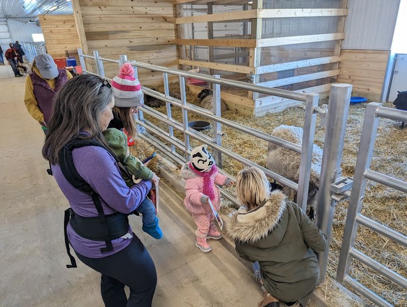 Visitors Can Meet The Animals During Tours And Events