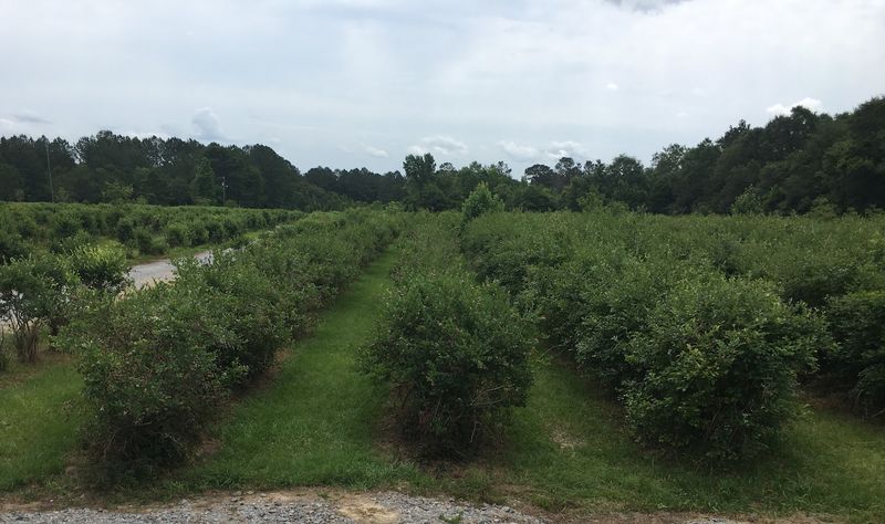 A Farm That Earns Every Single Return Visit