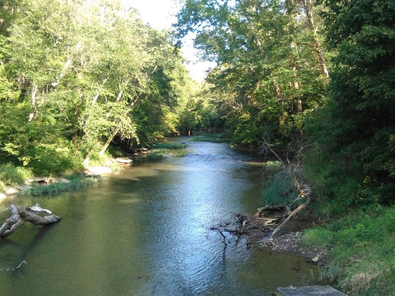 Unique Ecosystems Supported By Clear River Water