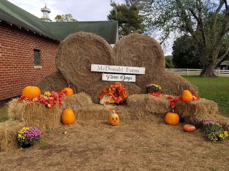 Agritourism Done Right Without The Overcrowded Feel