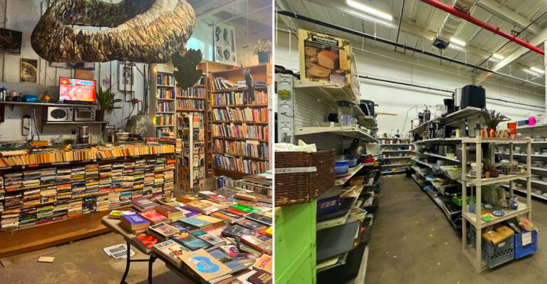 The New York Book And Thrift Warehouse Where $45 Fills A Cart And Regulars Always Leave With More