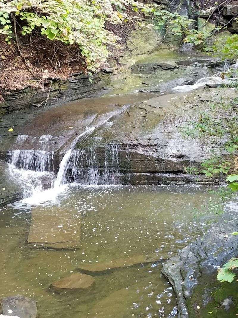 A Trail That Stops You Cold Before You Even Know Its Name