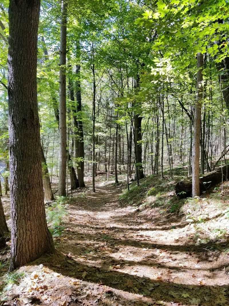 The Route Offers Forest, River Views, Rocks, And Rushing Water