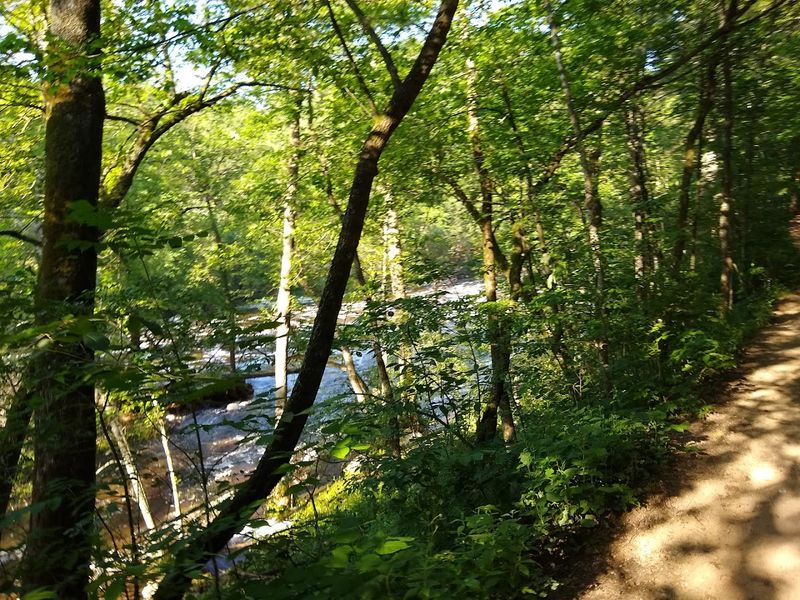 Miles Of Trails Lead To Different Views