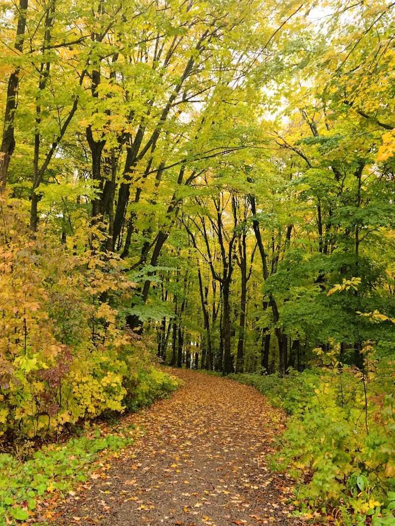 The Area Connects To The Ice Age Trail