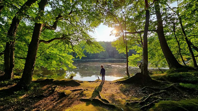 It Feels Peaceful Because The Water Breaks The Park Into Little Worlds