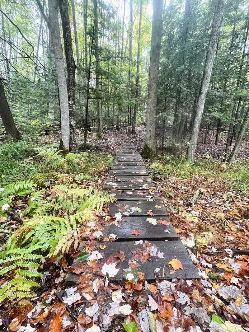 The Trail System Leads Visitors Through Forest Before Reaching Lake Superior