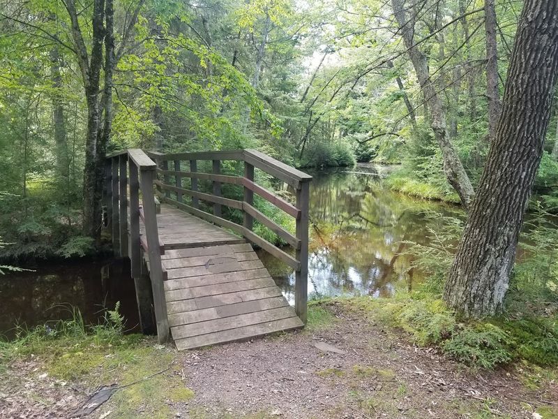 A Whole Island Gives This State Park Its Quiet Charm
