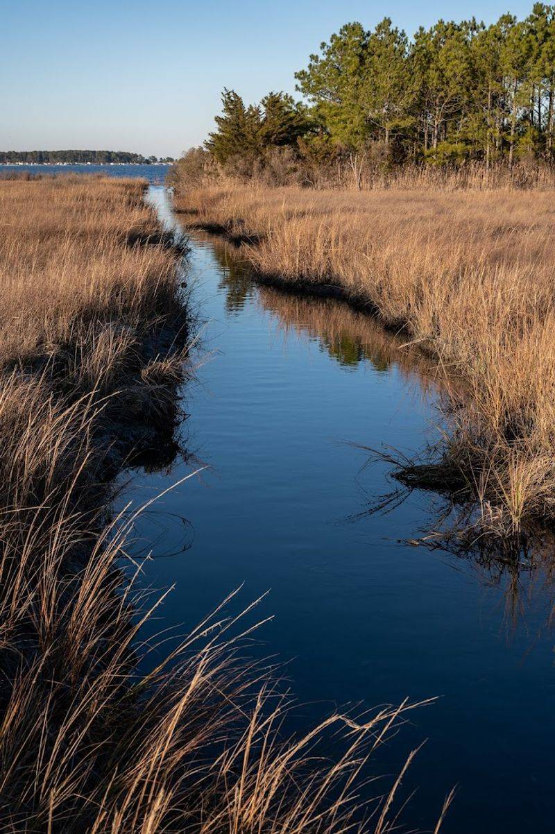 A History Rooted In The Land Itself