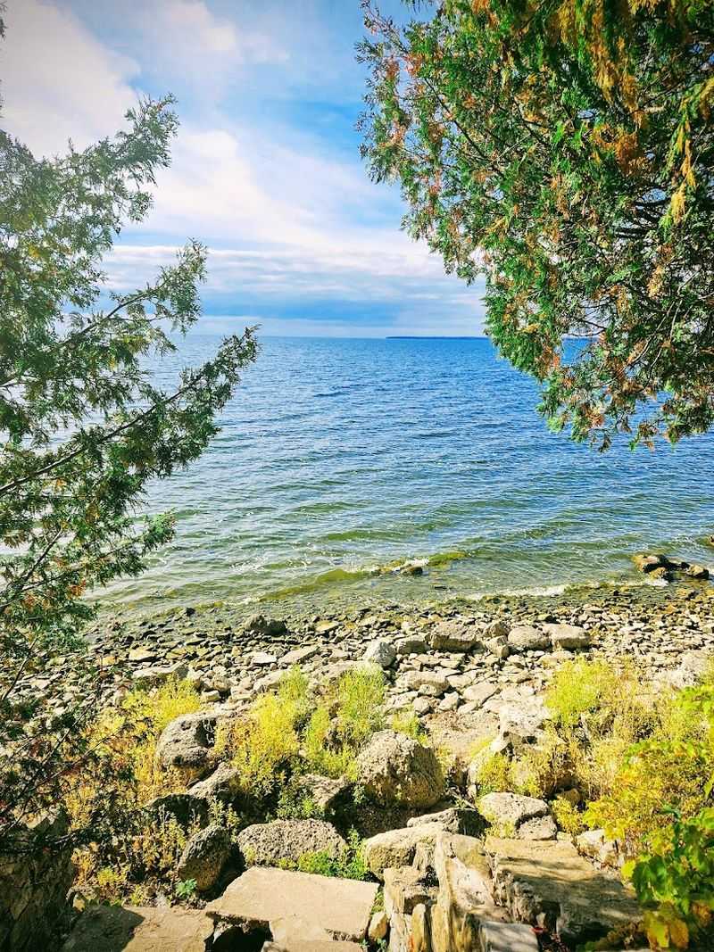 Water Birds Add Another Reason To Watch The Shoreline
