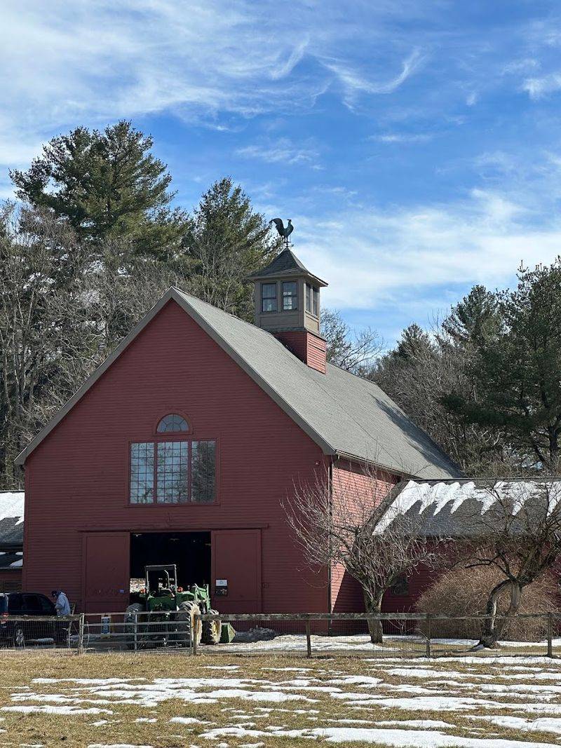 Educational Programs That Turn A Farm Visit Into A Real Learning Experience