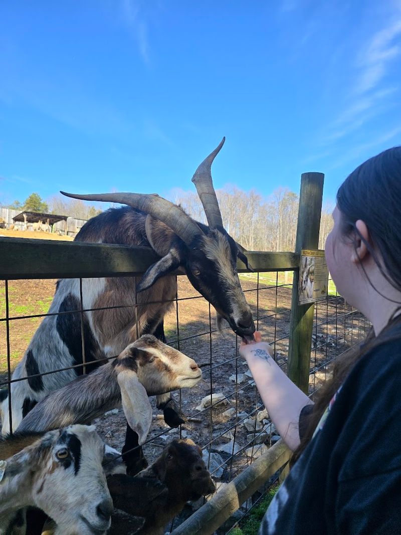 Why The Hands-On Experience Sets This Place Apart From Larger Zoos