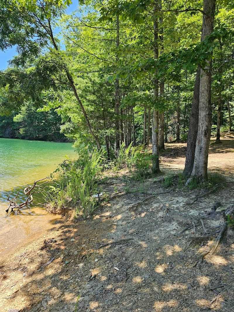 How The Cherokee National Forest Keeps The Shoreline Pristine