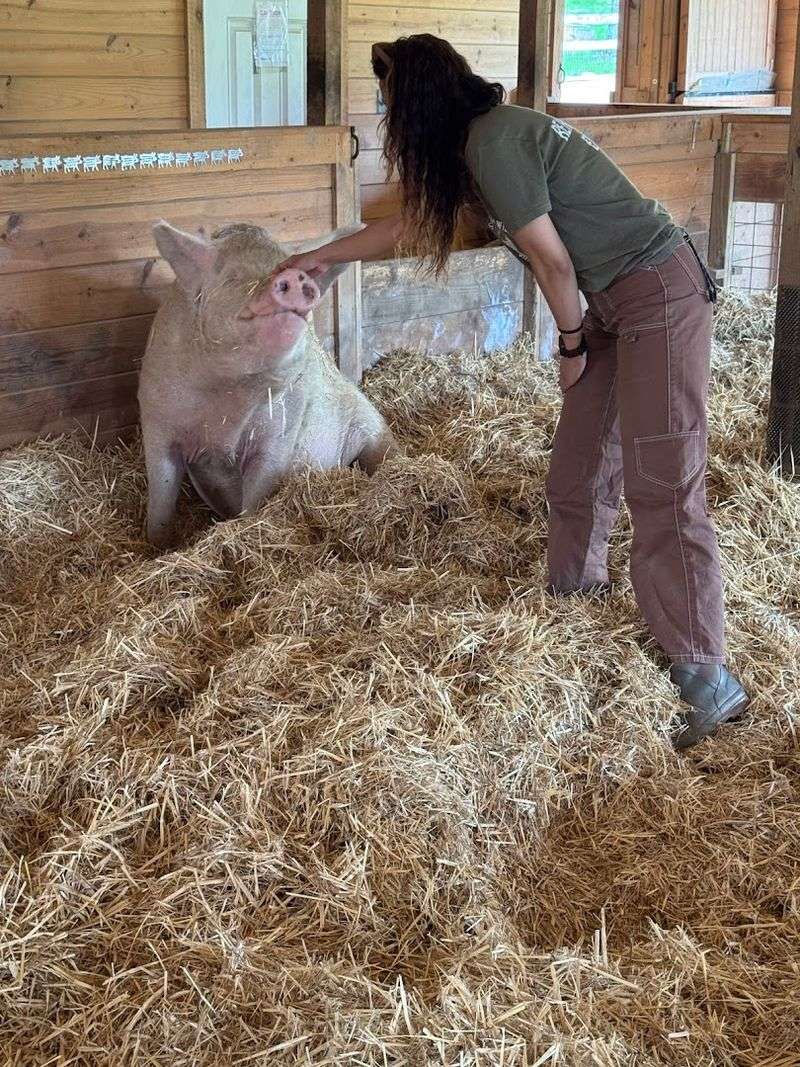 A Fully Vegan And Organic Operation With Real Principles