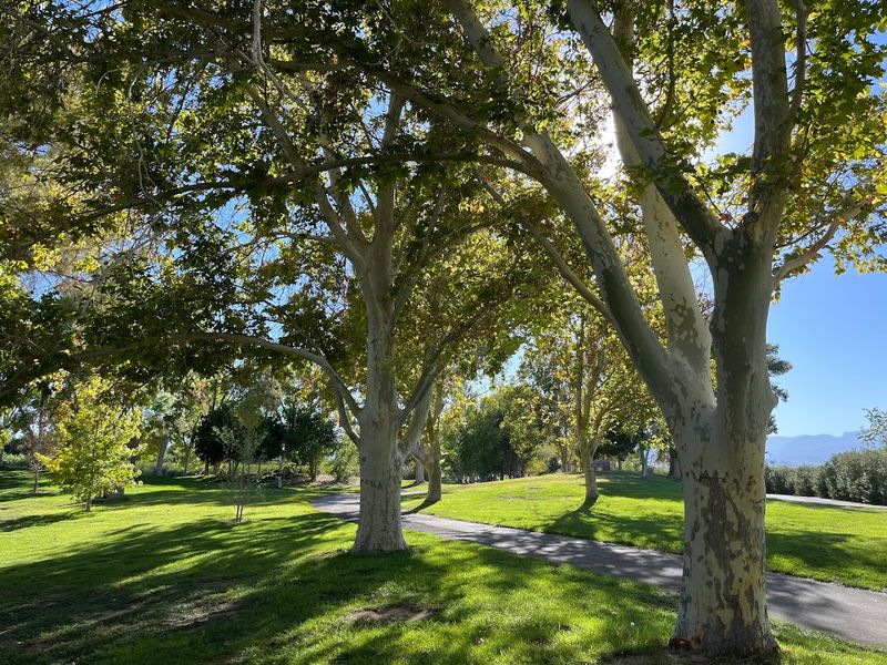 Walking Biking And Horseback Trails Wind Through The Park